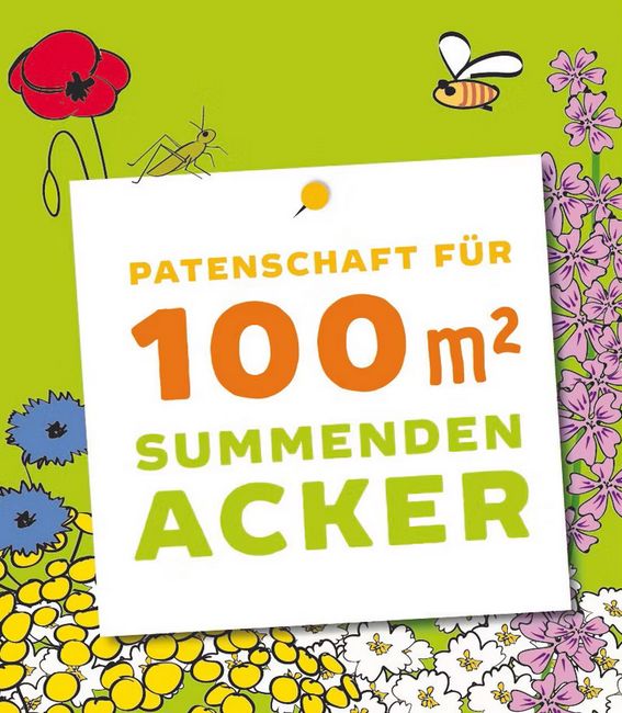 patenschaft-summender-acker-und-streuobstbaum-einmalzahlung.jpeg