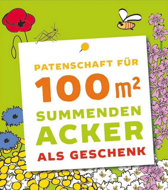 patenschaft-als-geschenk-summender-acker-einmalzahlung-fur-ein-jahr-summender-acker.jpeg